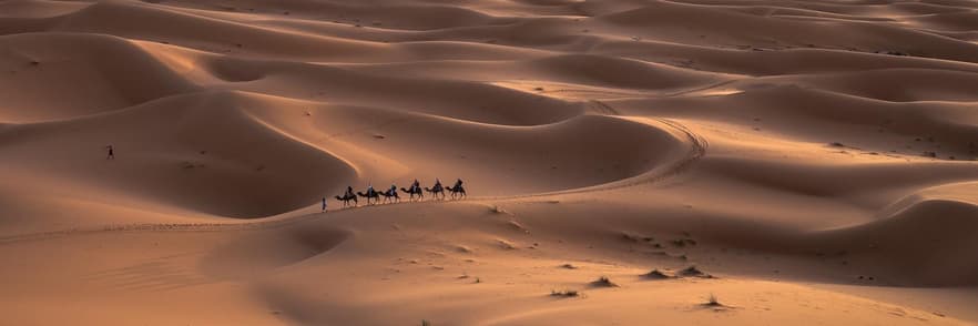 Immagine - Arabia Saudita