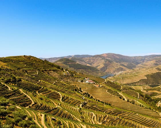 Douro