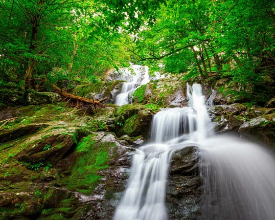 Parque Nacional de Shenandoah, Virgínia
