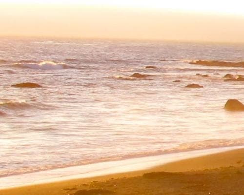 加利福尼亞州皮斯摩海灘