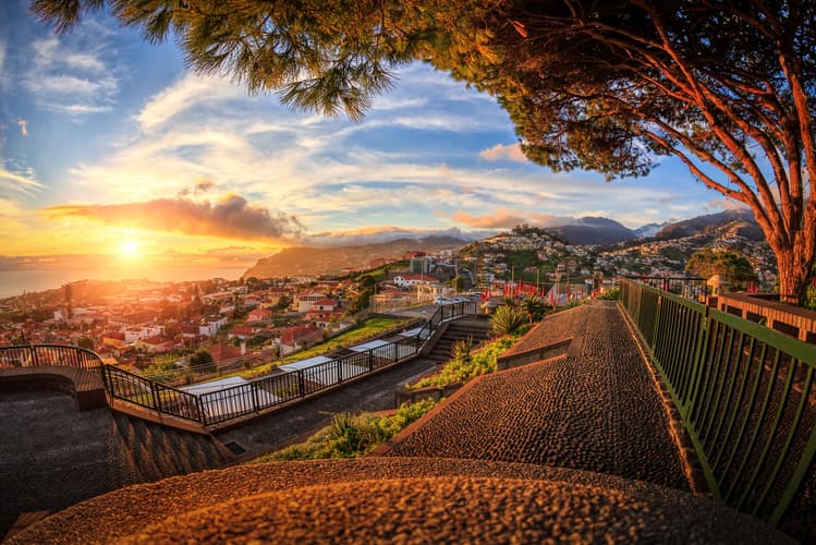 Image - Madeira Discovery (2027)