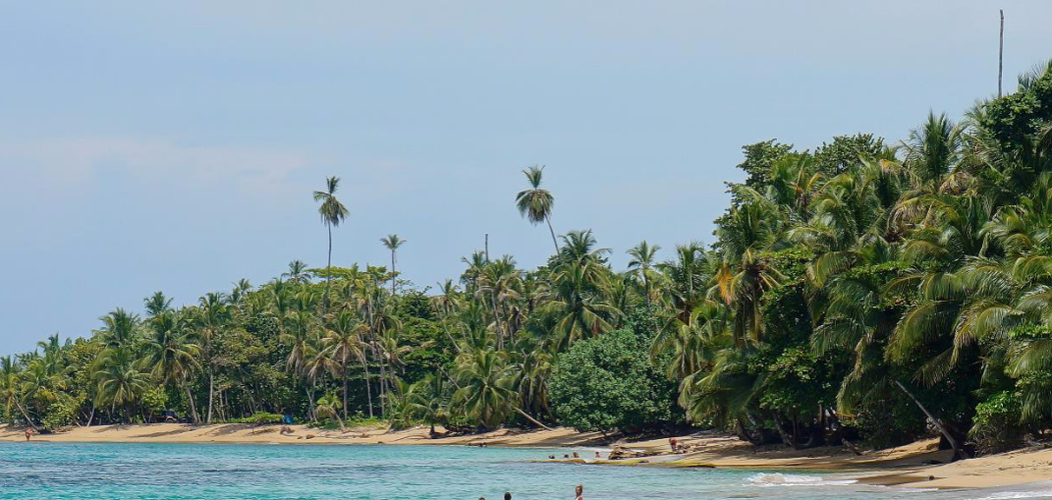 Bild - Volcanoes, Nature and Caribbean, Self-drive