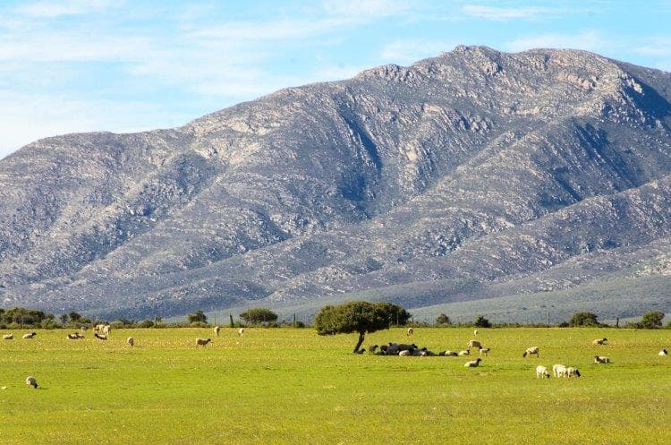 Beeld - Cape Town, Kruger and Garden Route, Self-Drive