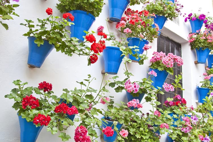 Bild - Andalusian Feelings 