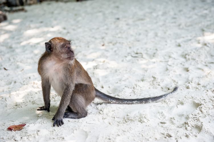 圖像 - Island Escape, 12 Days (Option 2)