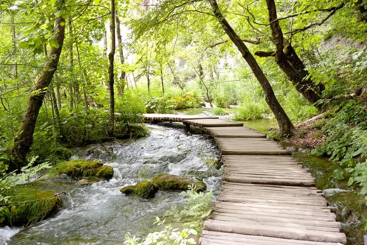 Imagem - UNESCO Heritage, Self-Drive