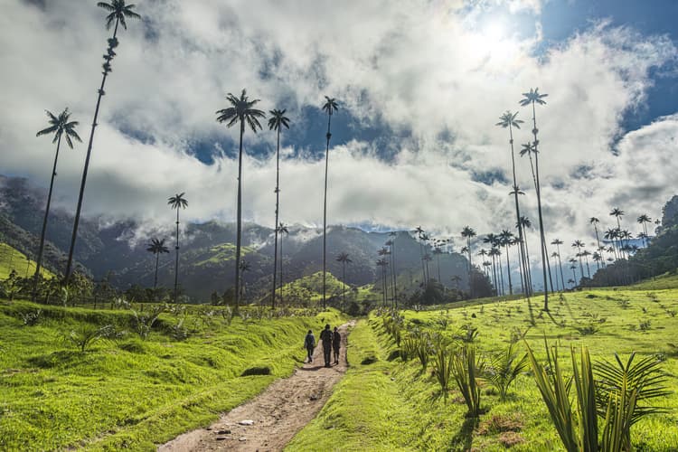 Imagen - Experiencia de 6 días de Medellín y Pereira, en la región cafetera, tour privado