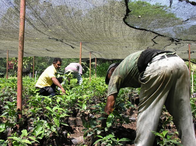 Imagen - Lo mejor de Republica Dominicana