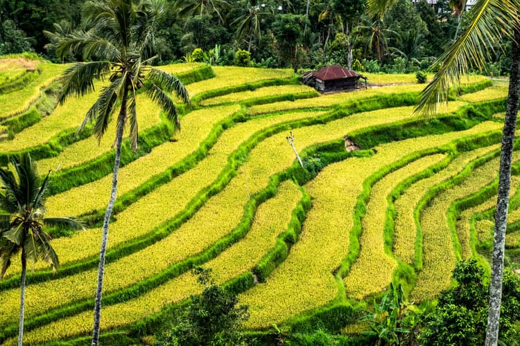 Imagem - Bali Roundtrip 6 Days