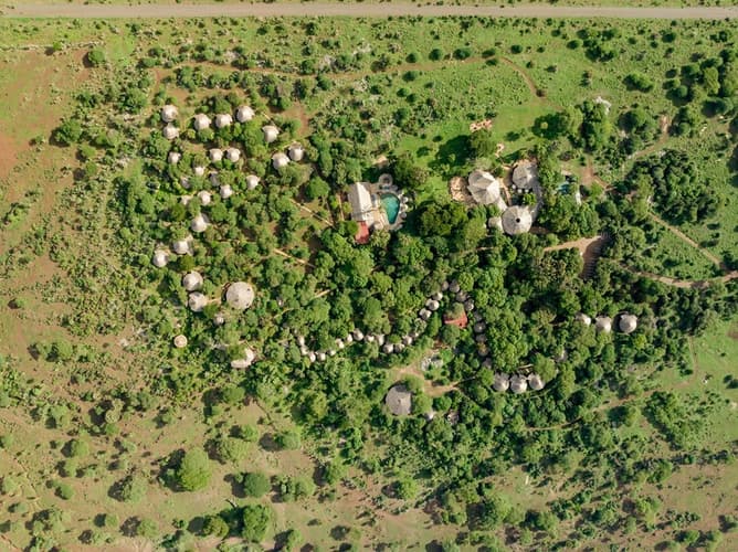 Bilde - Safari Pamoja