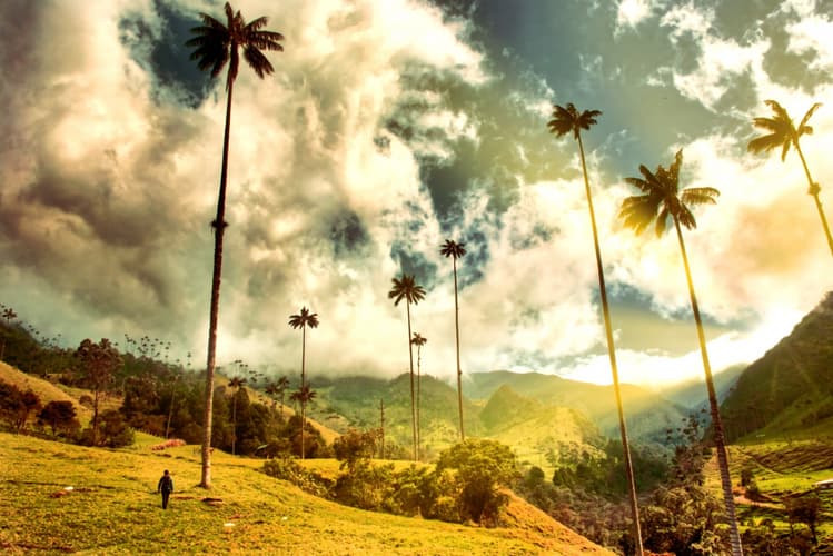 Image - Colombia Classica