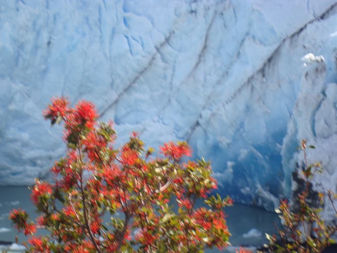 Imatge - Il Meglio dell'Argentina - Gran Tour