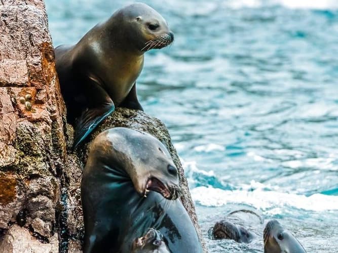Obraz - Perú Esencial Místico (Pre Nazca + Perú Esencial)