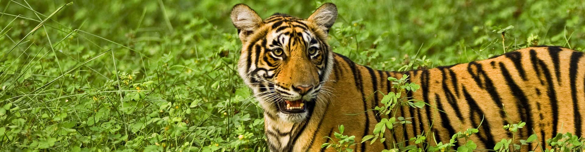 Obraz - Premium India in Depth