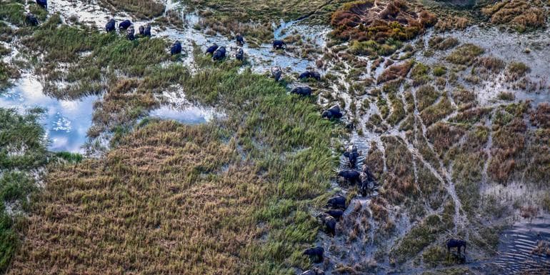 图像 - Journeys: Southern Africa Safari Experience