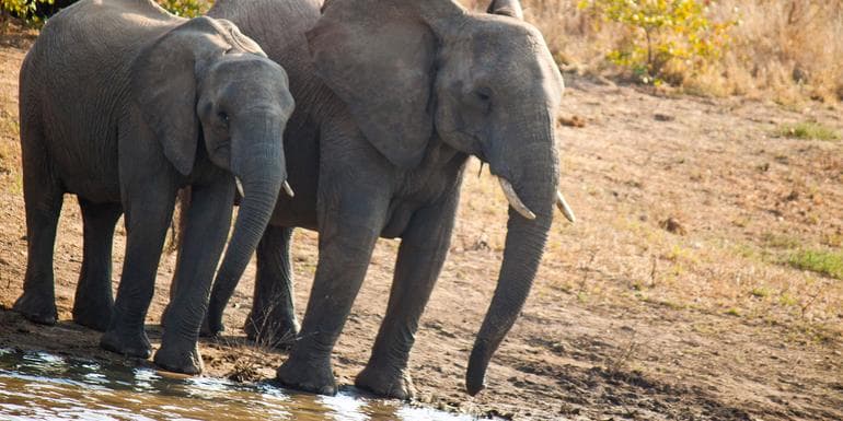 图像 - Journeys: Cape Town, Kruger & Namibia