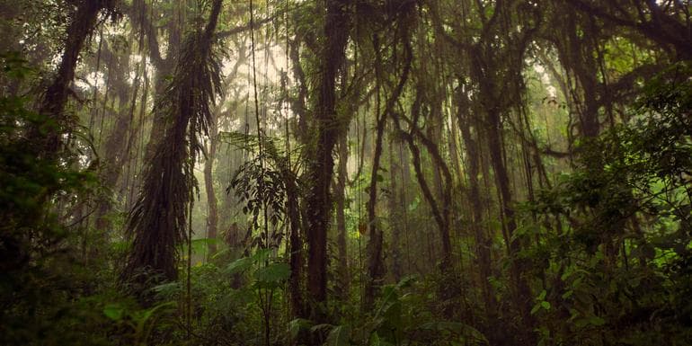 Image - Journeys: Highlights of Costa Rica