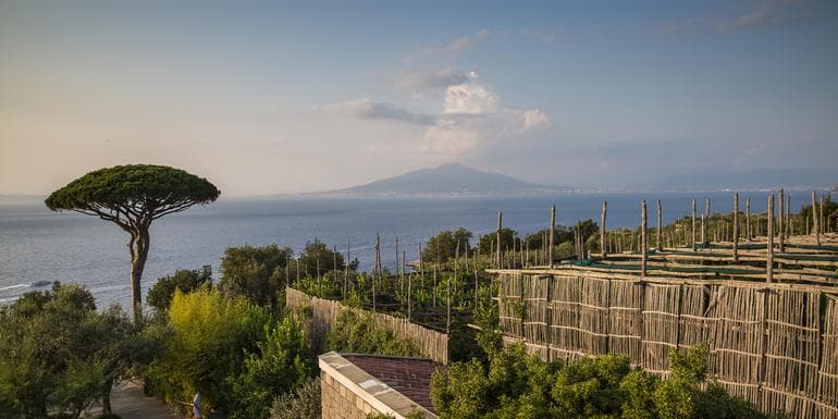 Resim - Local Living Italy—Sorrento