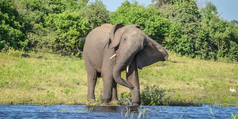 Imagen - Botswana & Victoria Falls Adventure