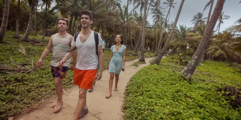 Podoba - Classic Colombia