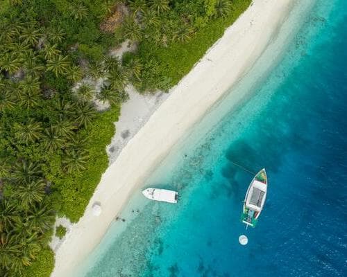 Image - CARIBE - WONDER OF THE SEAS