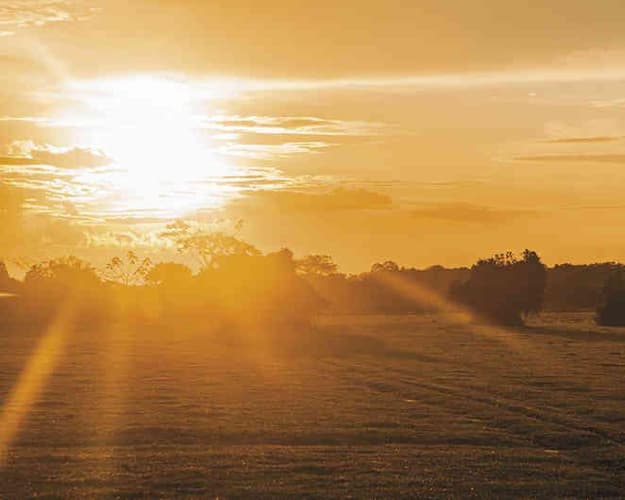 Imagen - Atardecer Llanero