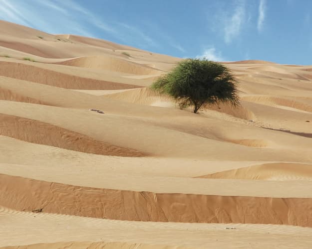 صورة - Iconic Oman