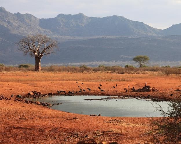 Bild - Nairobi inkl. Nationalpark, Tsavo-Safari & Badeurlaub