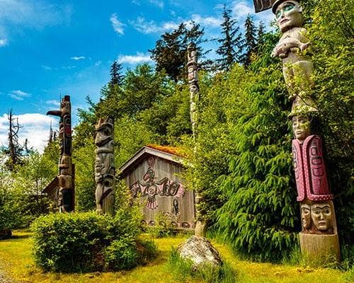 Imagen - Elegancia Glacial