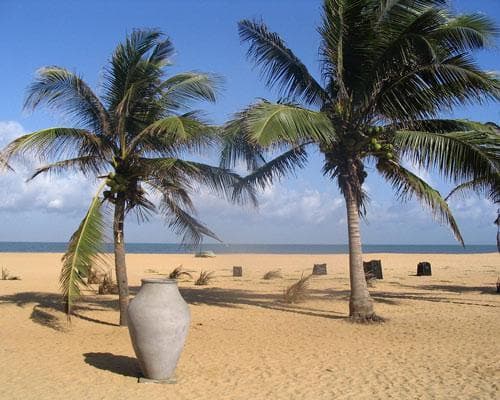 Image - Rundreise "Fabelhaftes Sri Lanka" (ab Colombo/bis Beruwela)