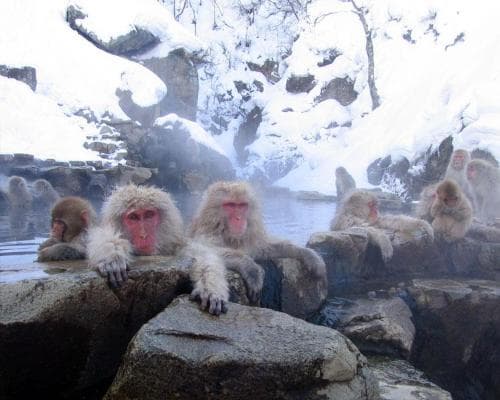 Image -  Ghasso-zukuri e Zao  Onsen