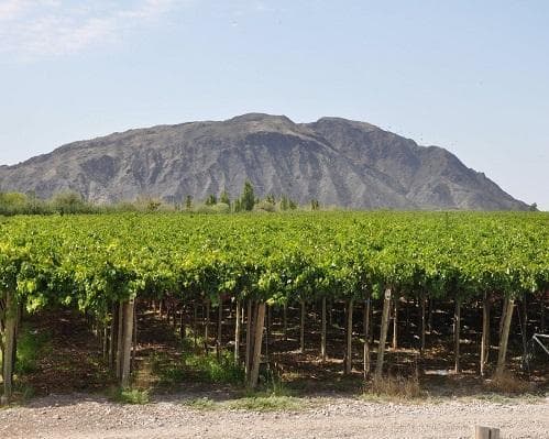 Immagine -  San Juan Clásico