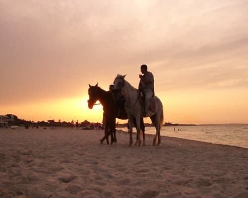 Imagen - Monastir | Voos de Lisboa (14 NTS) |  Verão 2026 