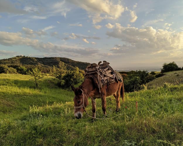 Beeld - Ontdek het ongerepte noorden van Griekenland & Thassos