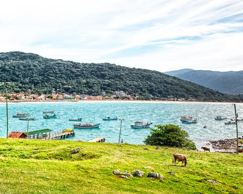 Imagen - Vacaciones de Verano en Florianópolis