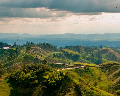 Imagen - Lo Mejor del Eje Cafetero desde Armenia 