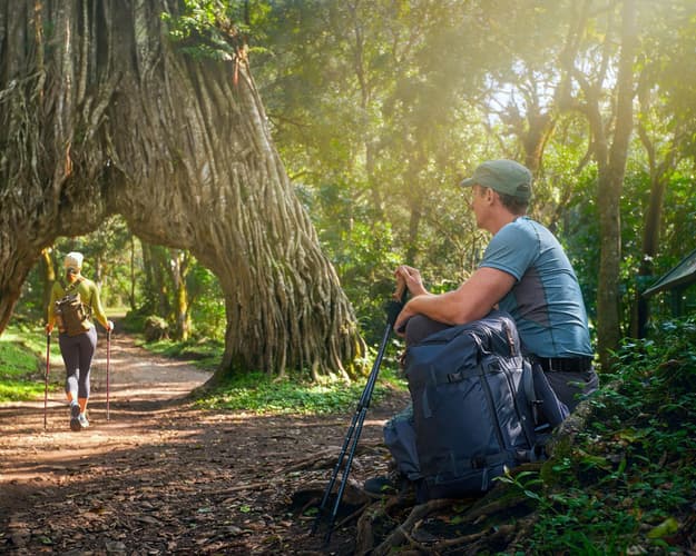 Image - PARQUES DE KENYA Y TANZANIA