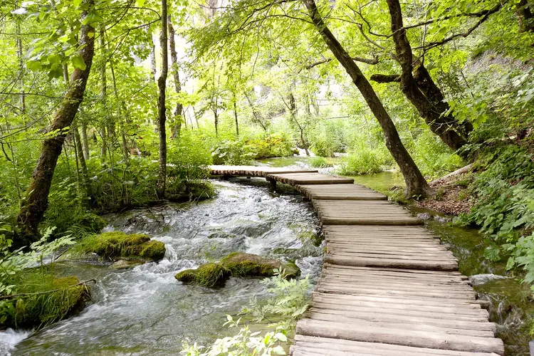 Bild - UNESCO Heritage, Self-Drive