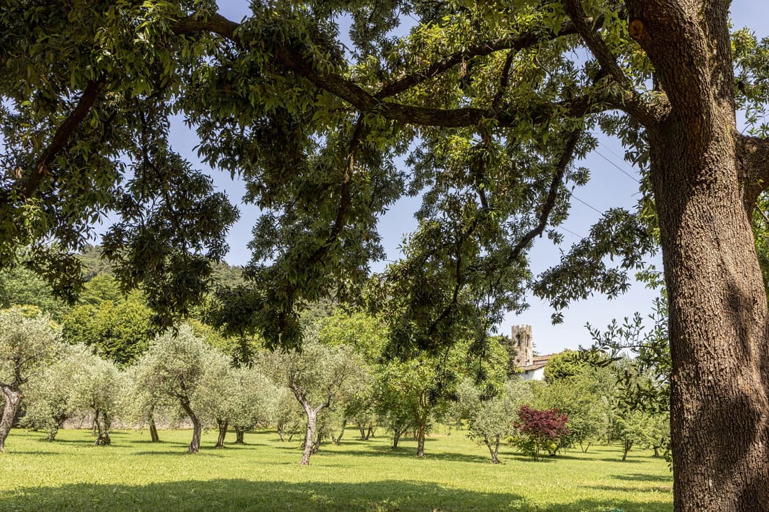 Hotel Villa San Michele
