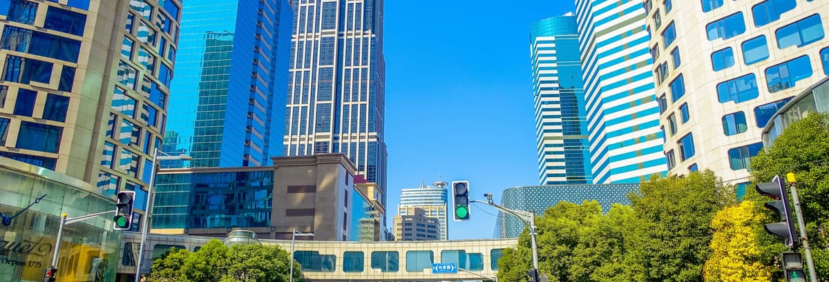 Private Modern Shanghai Guided Tour