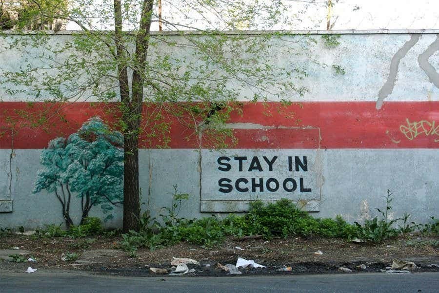 The Real NYC: Harlem, The Bronx, Brooklyn & Queens