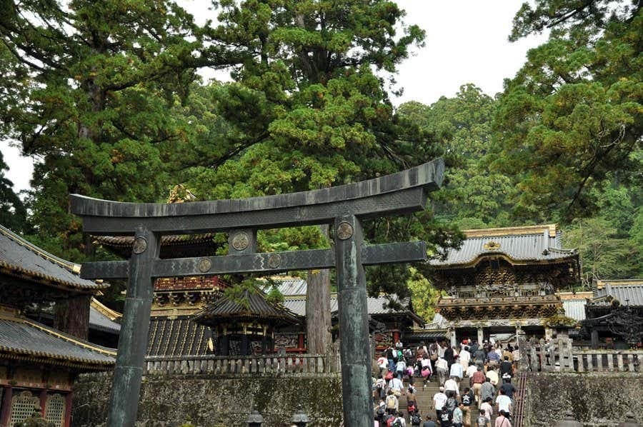 Nikko Private Day Trip