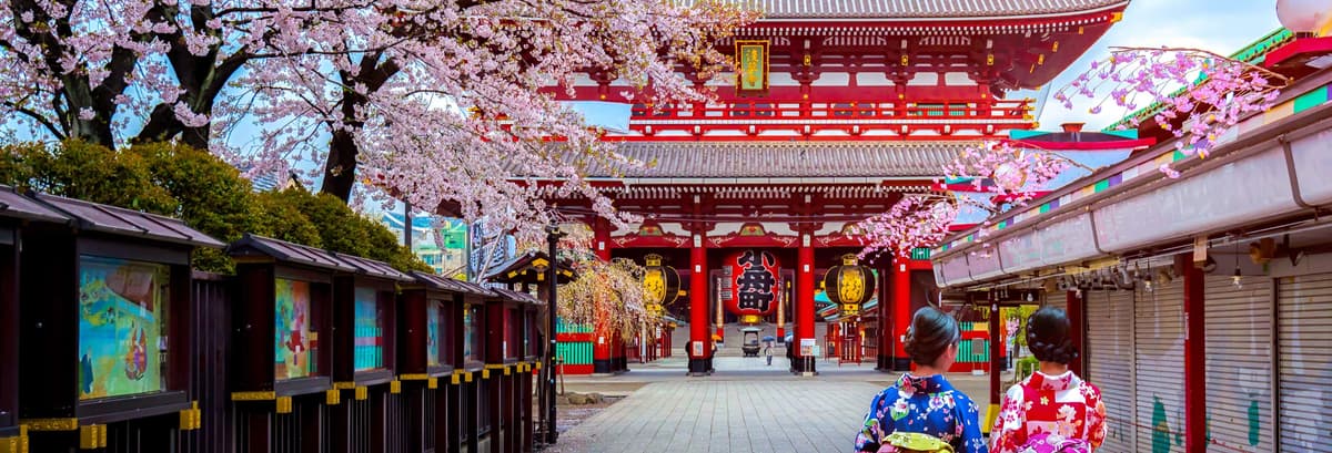 Private Tour of Tokyo