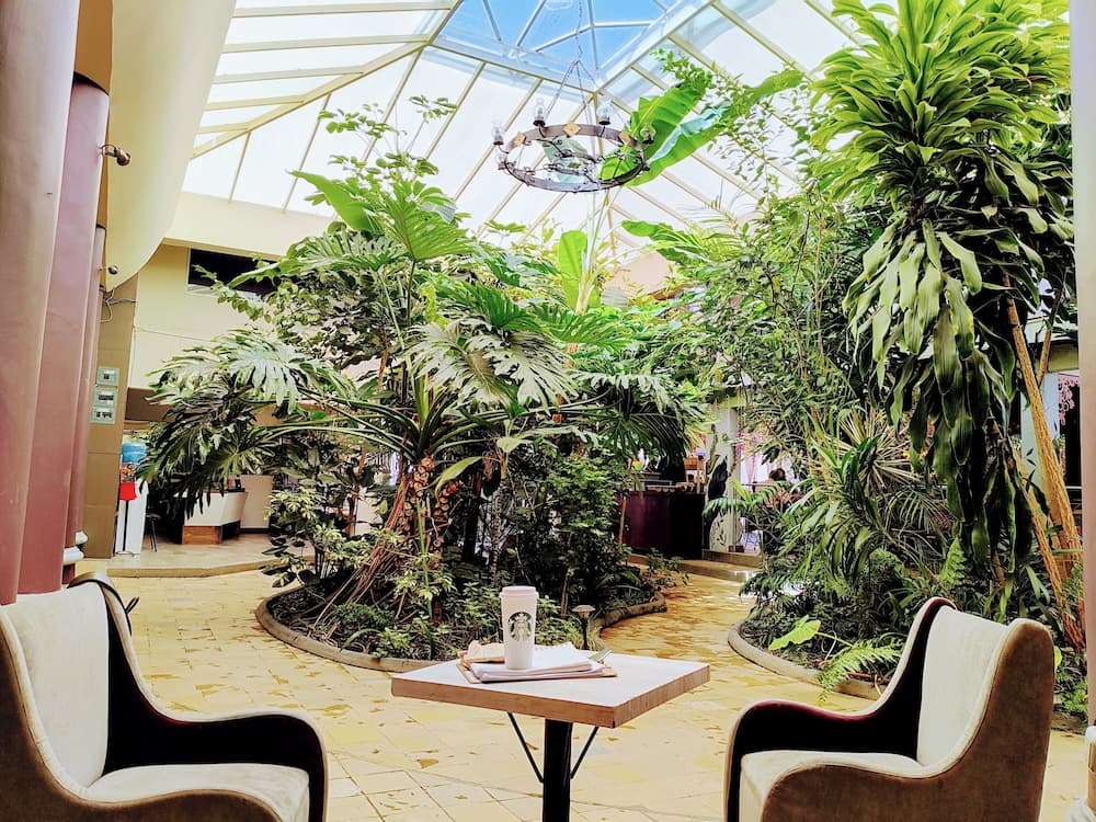 Hotel Jardines del Centro