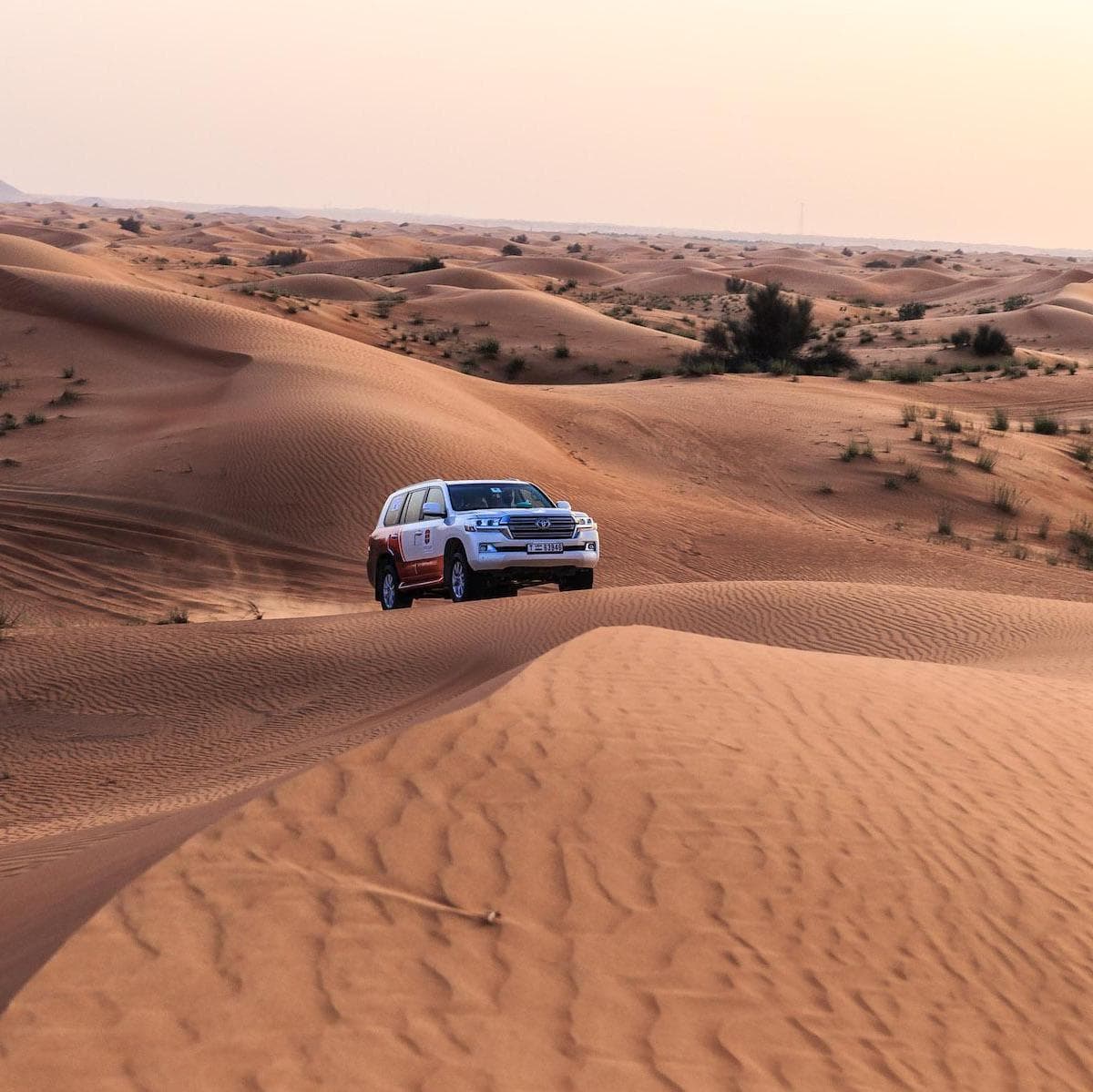 Desert Safari - Dubai