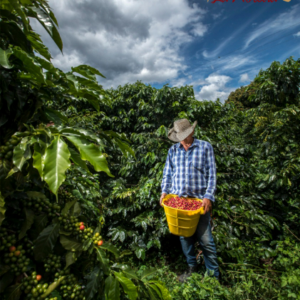 Dia 2: Tour do café  - Armênia
