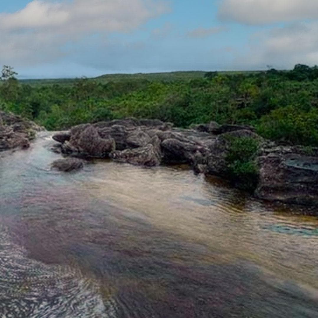 Día 4.  La Macarena y Bogotá - visita Bajo Lozada, traslado de salida y de llegada - La Macarena