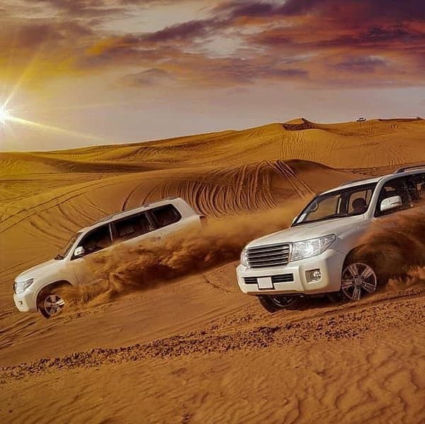 Desert Safari with Arabic Dinner - Dubai