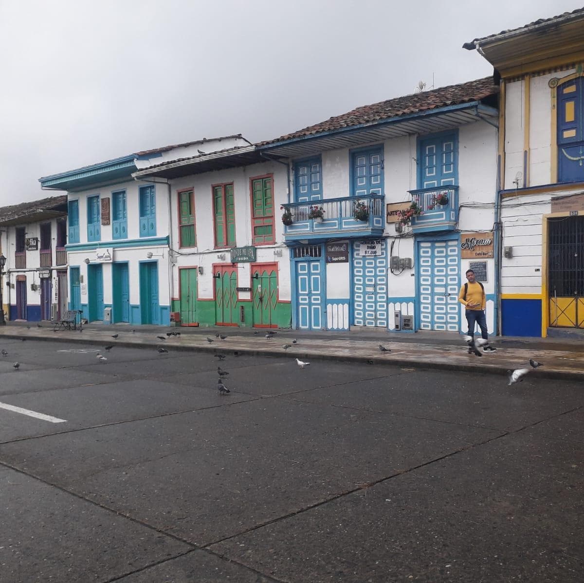 Dia 3: Vale de Cocora, Salento e Filandia  - Armênia