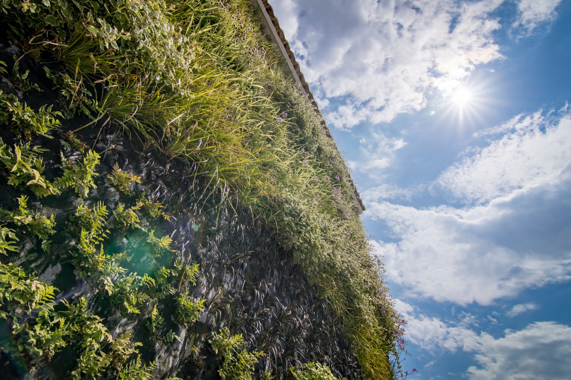 Cap Negret, General view